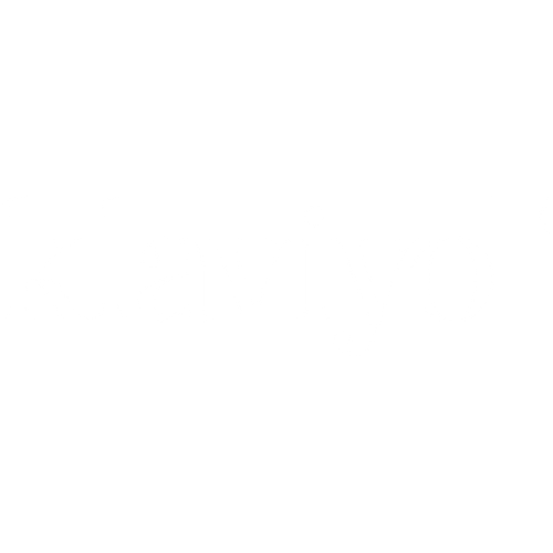 Official Klaviyo & Shopify Partners